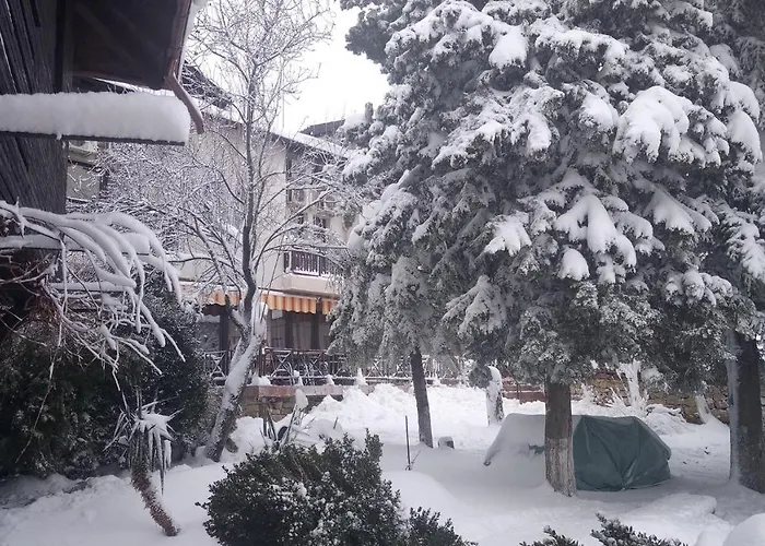 Family Elena 3* Arbanasi